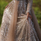 Champagne Sequin Lehenga