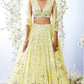 Lemon Yellow Embroidered Lehenga